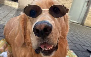 Kroky, které nebolí: Mauriho 4.bitva