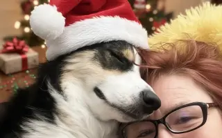 POMOC PRO FOXÍČKA, ASPENA A TAFFY-JACKA