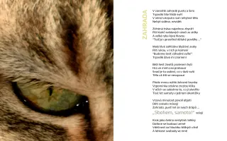 “A*la - Ze dna” … debutové album + sbírka poezie a fotografií Alice Boleloucké
