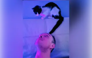 Podpora základních potřeb a cesta k psychoterapii