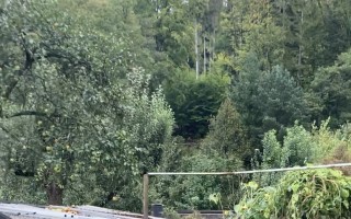 Sbírka na obnovu bydlení pro mladý pár se 2 vlkouši, kterým povodeň vzala vše