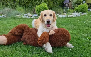 Za každé další ráno s Daisy 🐾