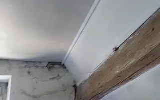 Pomozte mamince nevidomého Matouše s PAS vybudovat vlastní domov