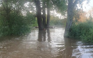 Sbírka na záchranu zvěře před povodněmi a srnčat před senosečí