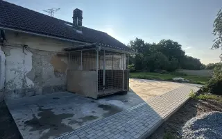Bezpečný domov pro týrané a opuštěné pejsky