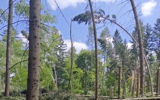 ZACHRAŇME SINGLETRAIL MORAVSKÝ KRAS JEDOVNICE