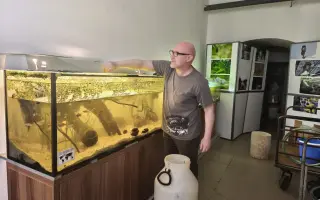 Vytvořme rybkám lepší domov!