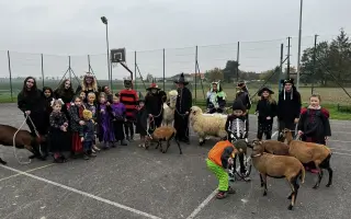 Pomozte beránkovi Knedlíčkovi opět běhat s dětmi.🤍