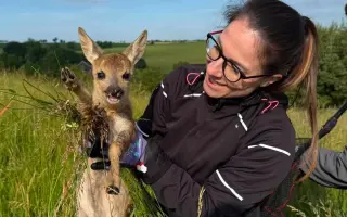 Druhý dron pro srnčata na Jičínsku