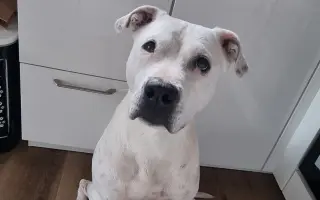 Pomůžete naší Mie zase bez bolestí, běhat po všech čtyřech?