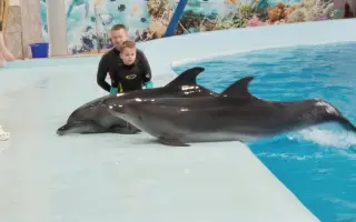 Delfinoterapie pro Ríšu