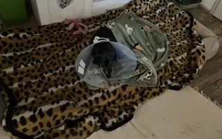 Pomohli jste Beníkovi znovu běhat