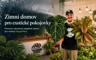 Zachraňme exotické pokojovky před zimou