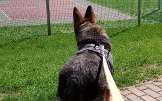 Léčba, která nekončí - Fůrie