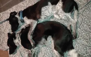 Když život náhle změní směr - pomoc pro Hanku a její syny po ztrátě manžela