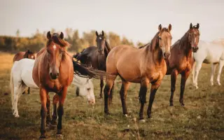 Pomozme Sannymu zvládnout  boj se vzácnou nemocí