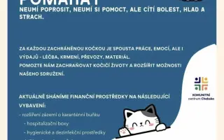 Z ulice do bezpečí - financování péče pro opuštěné kočky