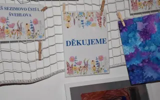 Pro Edíka z Tábora na intenzivní terapie a kompenzační pomůcky