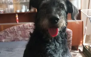 Chemoterapie pro Ritušku