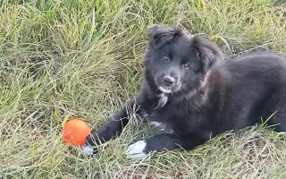 Pomoc pro Lilinku, která bojuje o život.