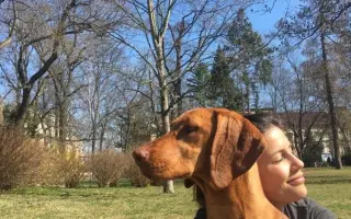 Pomoc pro Molde – fenku maďarského ohaře po vážném úrazu