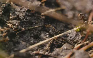 Podpořte film PORTRÉT VODY v cílové rovince!