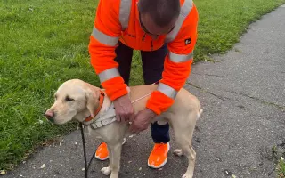 Pomozte Quentymu být mýma očima ❤️