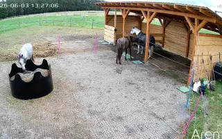 Když se štěstí obrátí zády: Pomoc pro Chérie a Areska