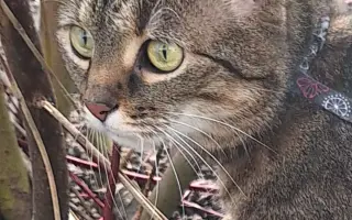 9 nalezených Lásek