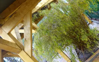 XXXL voliéra pro kočky z CATEK