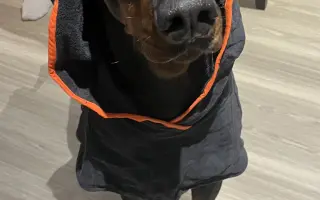 Pomozte Nubimu opět běhat