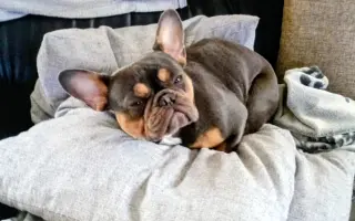 Pomozte Jasmínce běhat bez bolesti ❤️