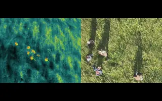 Termodron (nejen) pro záchranu mláďat při jarní senoseči