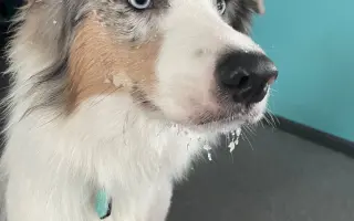 Pomohli jste Lokimu k lepšímu životu