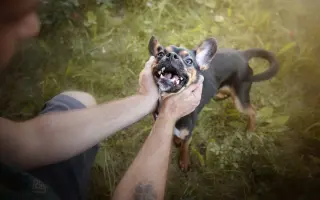 Šmudlina se rozšiřuje - pátá etapa