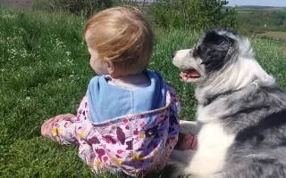 Sbírka na veterinární péči a diabetickou dietu pro Dixinku