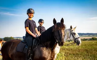 Pomozte nám postavit trojbox pro ustájení hiporehabilitačních koní DORADO z. s.
