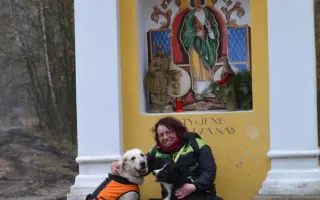 Pomozte mi získat spolehlivé auto na cestu za zdravím