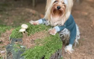 Pomozte Maxíkovi v boji s lymfomem