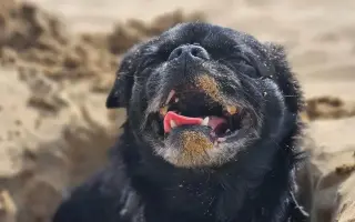 Pomozme Joeymu v boji s rakovinou.
