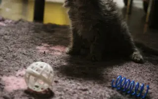 Pomozte malé bojovnici začít nový život