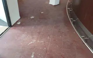 Pojďme dát kočičkám druhou šanci, obnovme kočičí kavárnu café & bar Šťastné tlapky