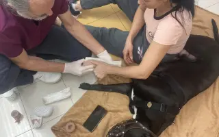 Ričik z Mariupolu potřebuje další operaci