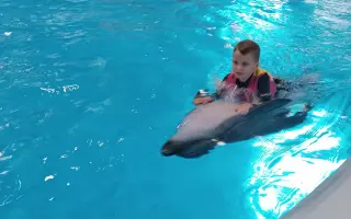 Delfinoterapie pro Ríšu