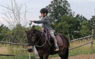 Pomozte nám sehnat nového koně pro hiporehabilitaci