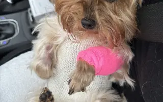 Pomozme Welle po nálezech rakoviny vidět, Daře k pohybu a Willymu ke zdraví