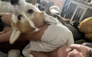 Pomozme Aloiskovi znovu chodit