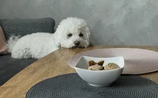 Pomozte nám zachránit naši Elinku