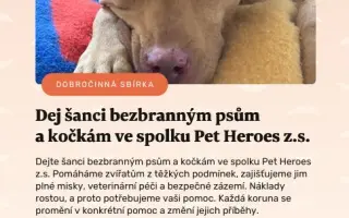 Dej šanci bezbranným psům a kočkám ve spolku Pet Heroes z.s.