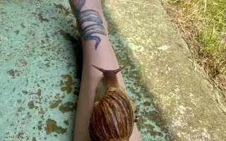 Přispěj Fany na dobrovolnické cestě za ochranou mořských želv